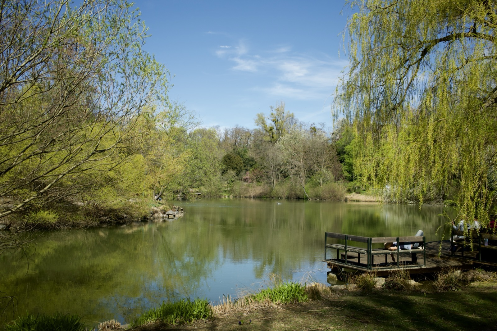 Kurpark Oberlaa willow-fringed pond with wooden deck and mirror-still water in spring, Vienna 10th district — photo guide by Best Alex Shots