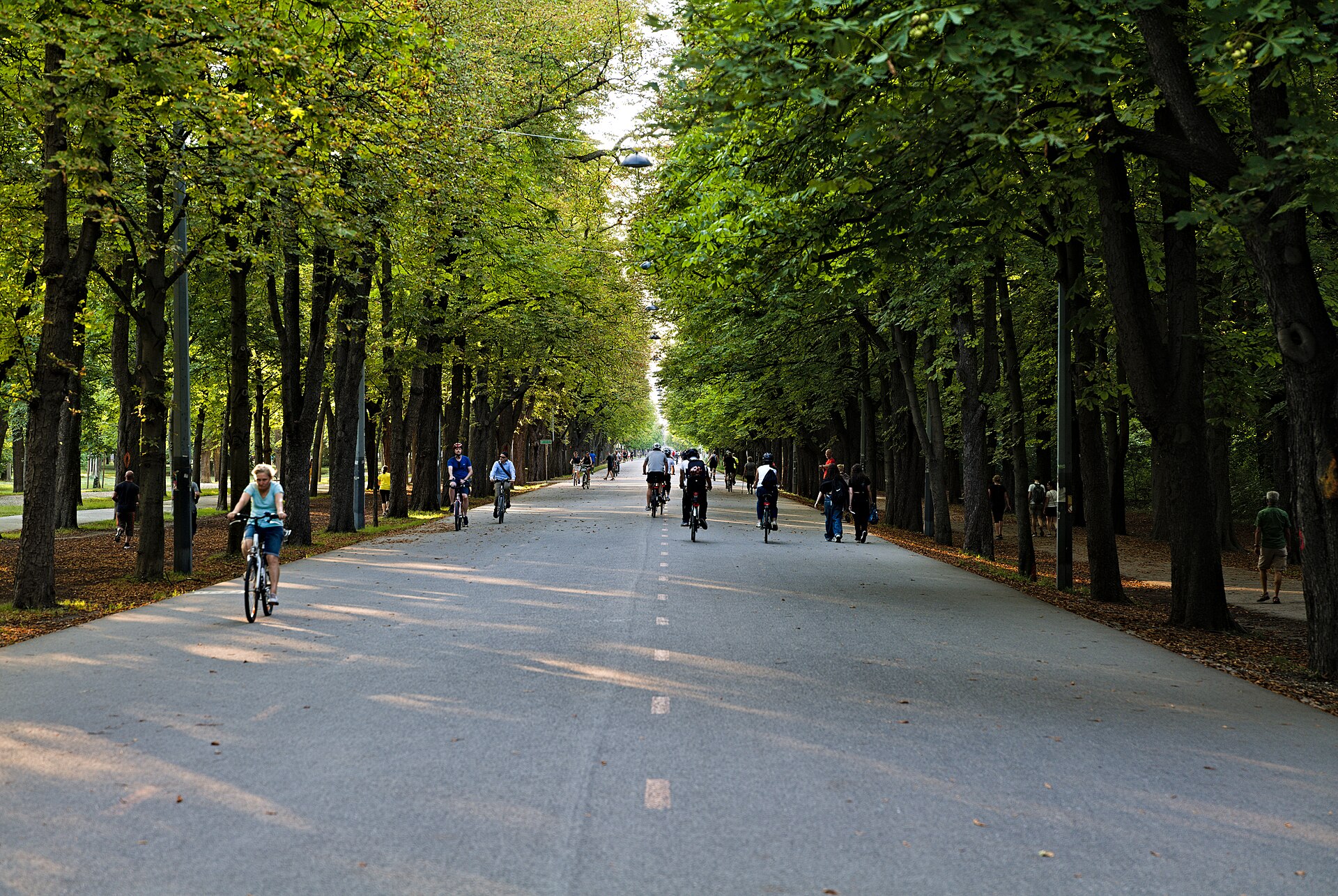 Praterhauptallee chestnut alley with joggers at sunrise, Vienna 2nd district — photo guide by Best Alex Shots
