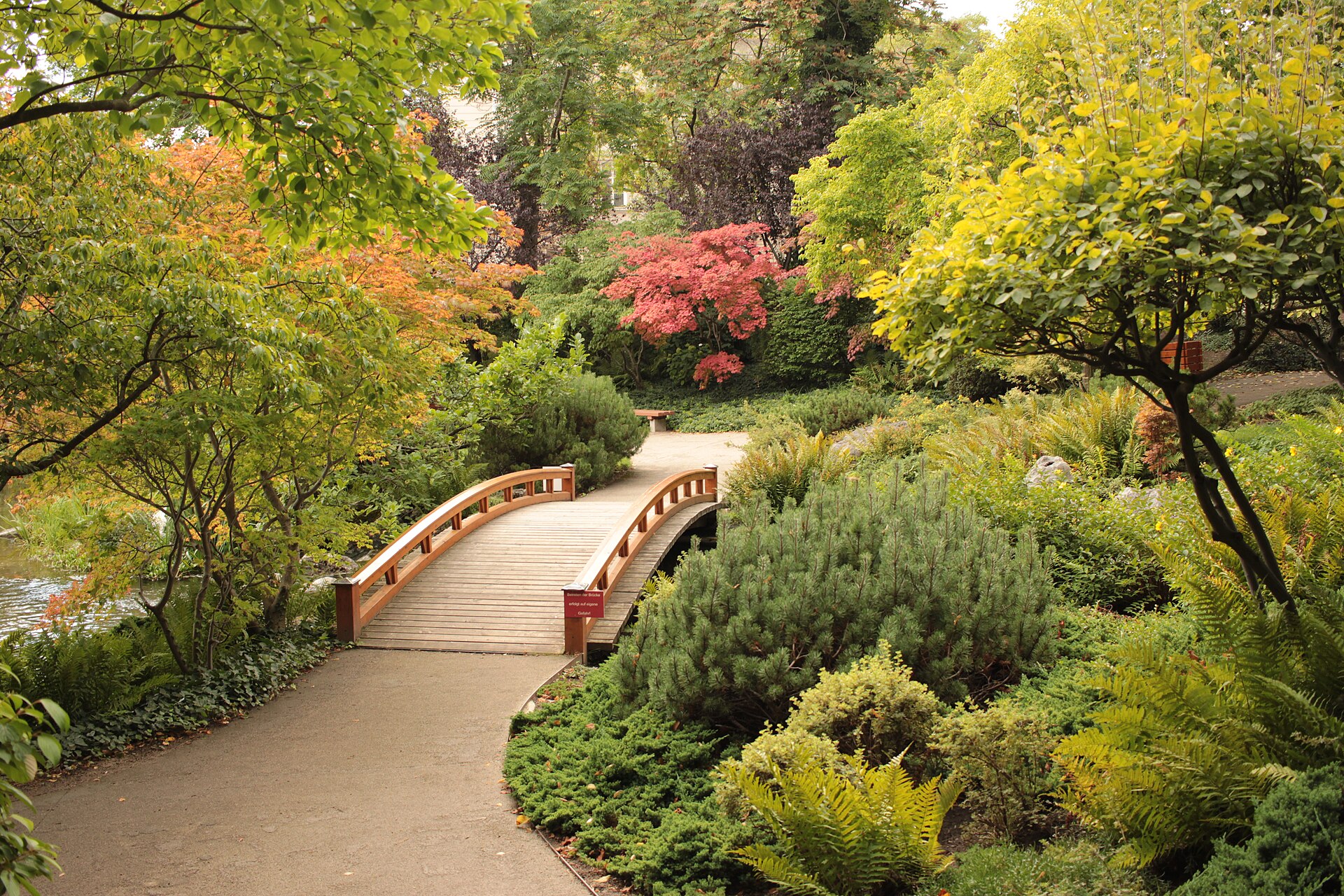 Setagayapark Japanese garden with arched bridge and koi pond, Vienna 19th district — photo guide by Best Alex Shots